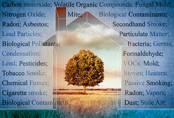 illustration listing indoor air quality problems
