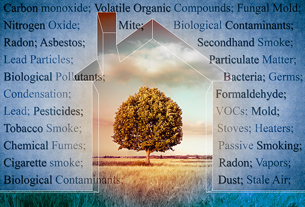 illustration listing indoor air quality problems