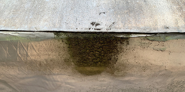 mold growth on exterior hvac duct wrap